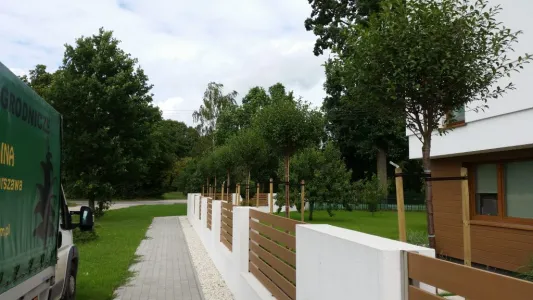 opryski owadobójcze w Wyszkowie