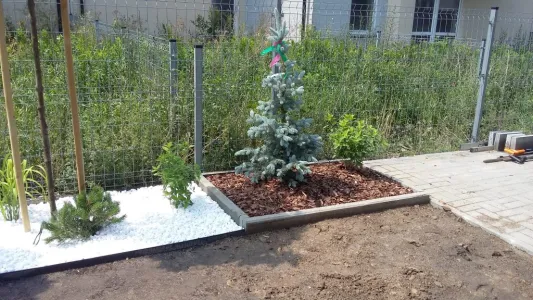 Projektowanie ogrodów