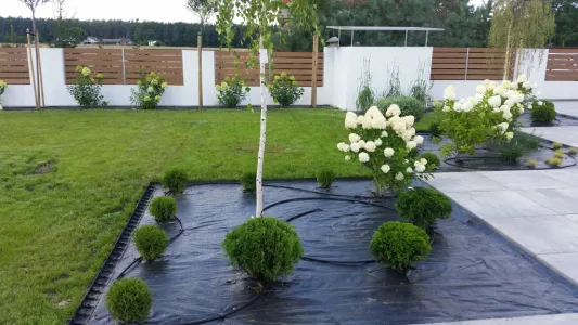 projektowanie ogrodów w Wyszkowie