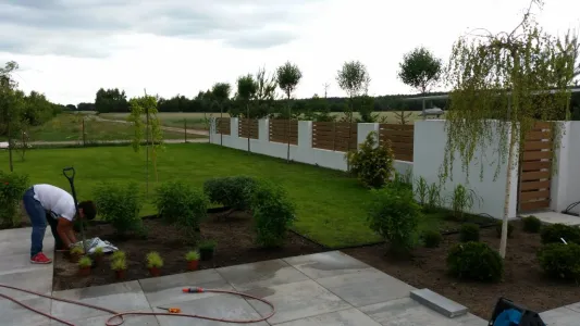 sadzenie krzewów w Wyszkowie
