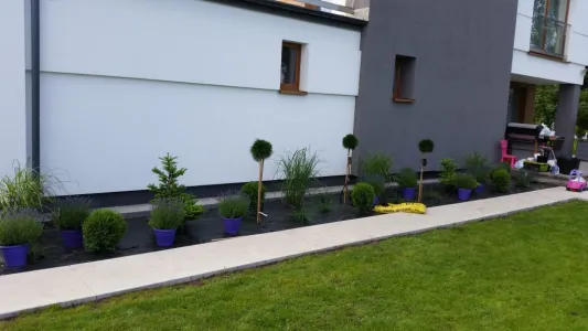 zakładanie trawników w Wyszkowie