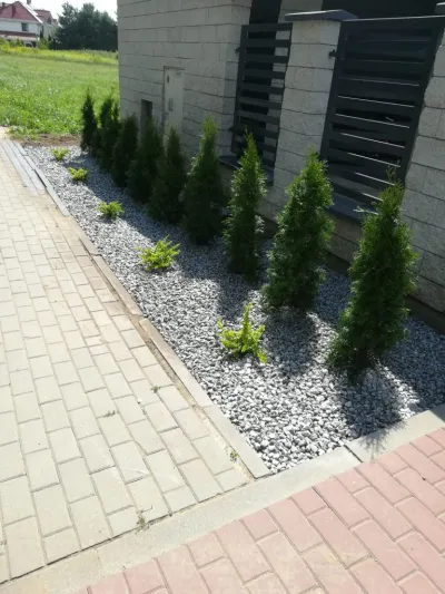Przesadzanie drzew - ogród w kamieniu