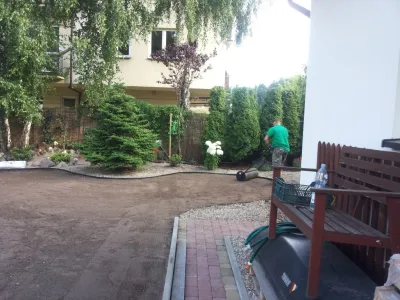 ogród z brzozą