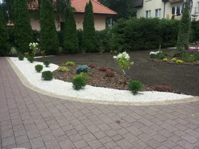 sadzenie krzewów